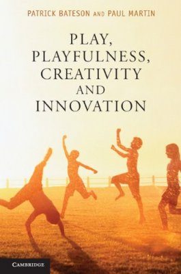 Play, Playfulness, Creativity and Innovation