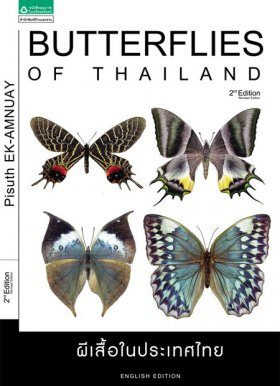 Butterflies of Thailand