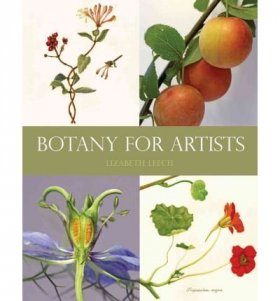 Botany for Artists