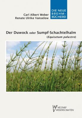 Der Duwock oder Sumpf-Schachtelhalm (Marsh Horsetail)