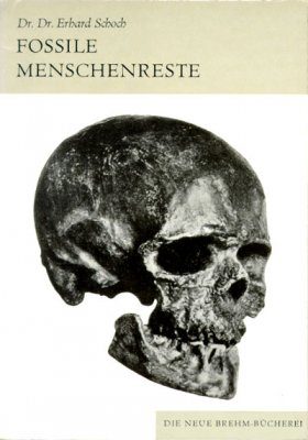 Fossile Menschenreste (Prehistoric Man)