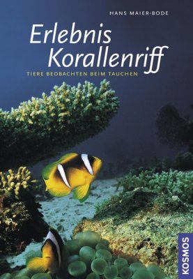 Erlebnis Korallenriff
