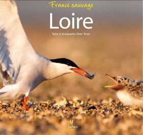 Loire