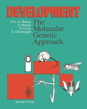 Development: The Molecular Genetic Approach