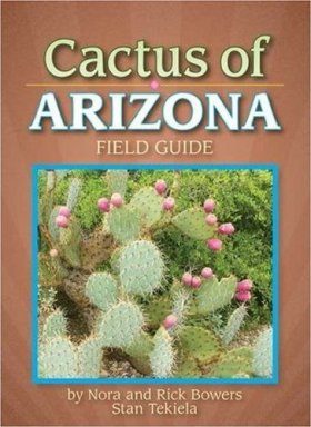 Cactus of Arizona