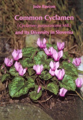 Common Cyclamen (Cyclamen purpurascens Mill.) and Its Diversity in Slovenia