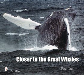 Closer to the Great Whales