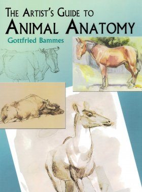 The Artist's Guide to Animal Anatomy