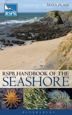 RSPB Handbook of the Seashore