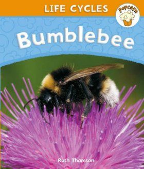 Bumblebee