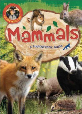 British Mammals