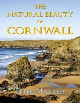 The Natural Beauty of Cornwall