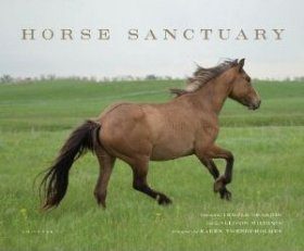 Horse Sanctuary