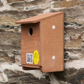 Tree Sparrow Nest Box