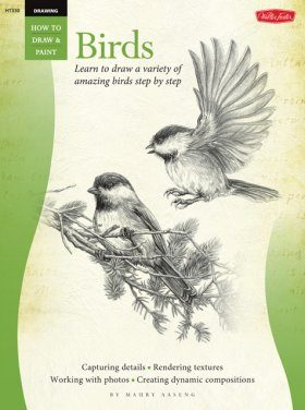 How to Draw & Paint Birds