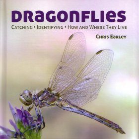 Dragonflies: Catching - Identifying - How and Where They Live