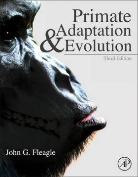 Primate Adaptation & Evolution