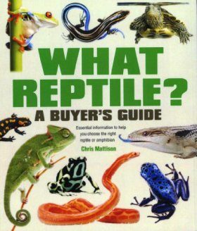What Reptile