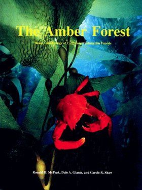 Amber Forest