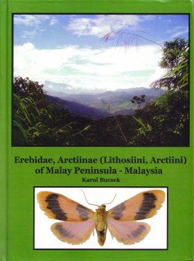 Erebidae, Arctiinae (Lithosiini, Arctiini) of Malay Peninsula - Malaysia