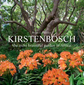 Kirstenbosch: The Most Beautiful Garden in Africa