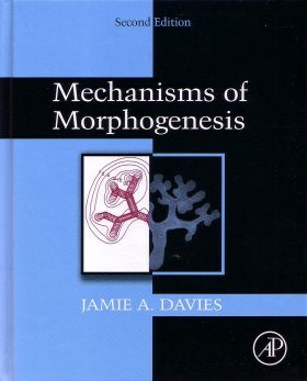 Mechanisms of Morphogenesis