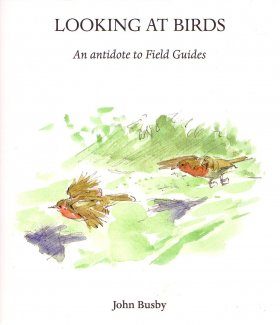 Looking at Birds