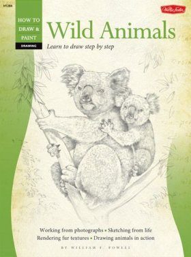 How to Draw & Paint Wild Animals