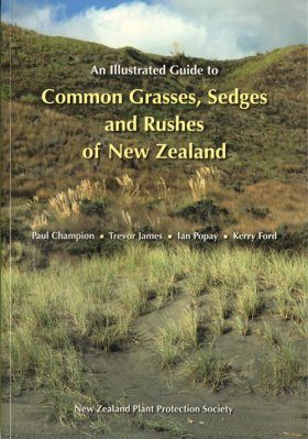 An Illustrated Guide to Common Grasses, Sedges and Rushes of New Zealand