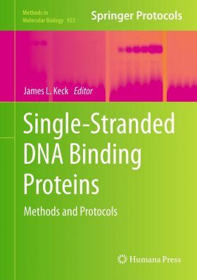 Single-stranded DNA Binding Proteins