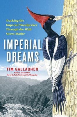 Imperial Dreams