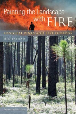 Painting the Landscape with Fire