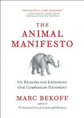 The Animal Manifesto