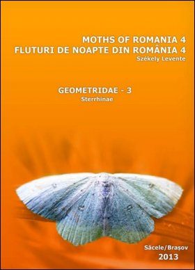 Moths of Romania 4 / Fluturi de Noapte din România 4