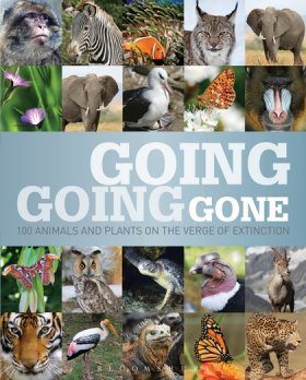 Going, Going, Gone