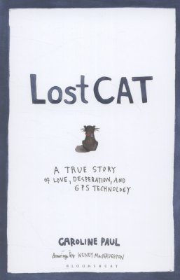 Lost Cat