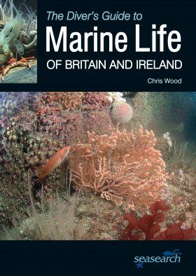 The Diver's Guide to Marine Life of Britain and Ireland