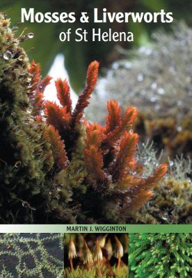 Mosses & Liverworts of St Helena