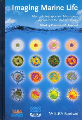 Imaging Marine Life