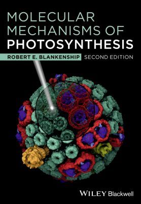 Molecular Mechanisms of Photosynthesis