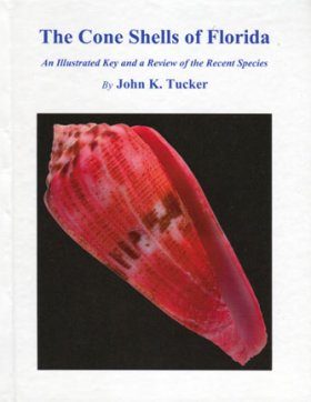 The Cone Shells of Florida