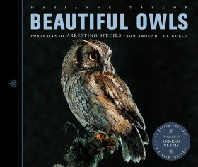Beautiful Owls