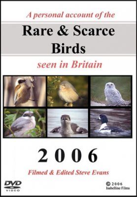 Rare & Scarce Birds Seen in Britain 2006 (All Regions)