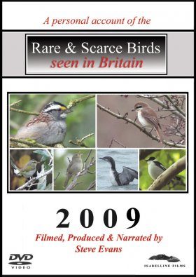 Rare & Scarce Birds Seen in Britain 2009 (All Regions)