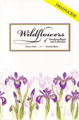 Wildflowers of Newfoundland and Labrador