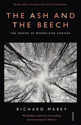 The Ash and the Beech