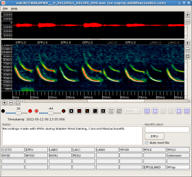 Kaleidoscope Pro Analysis Software