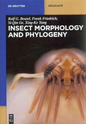 Insect Morphology and Phylogeny
