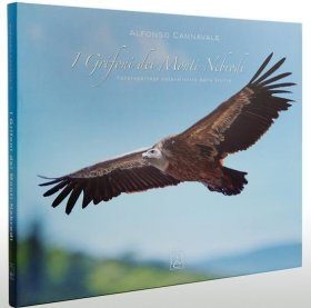 The Griffons of the Nebrodi Mountains / Grifoni Dei Monti Nebrodi