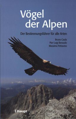 Vögel der Alpen